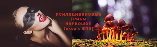 скорость Мегион