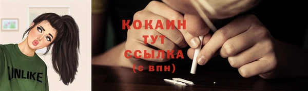 ГАЛЛЮЦИНОГЕННЫЕ ГРИБЫ Наволоки