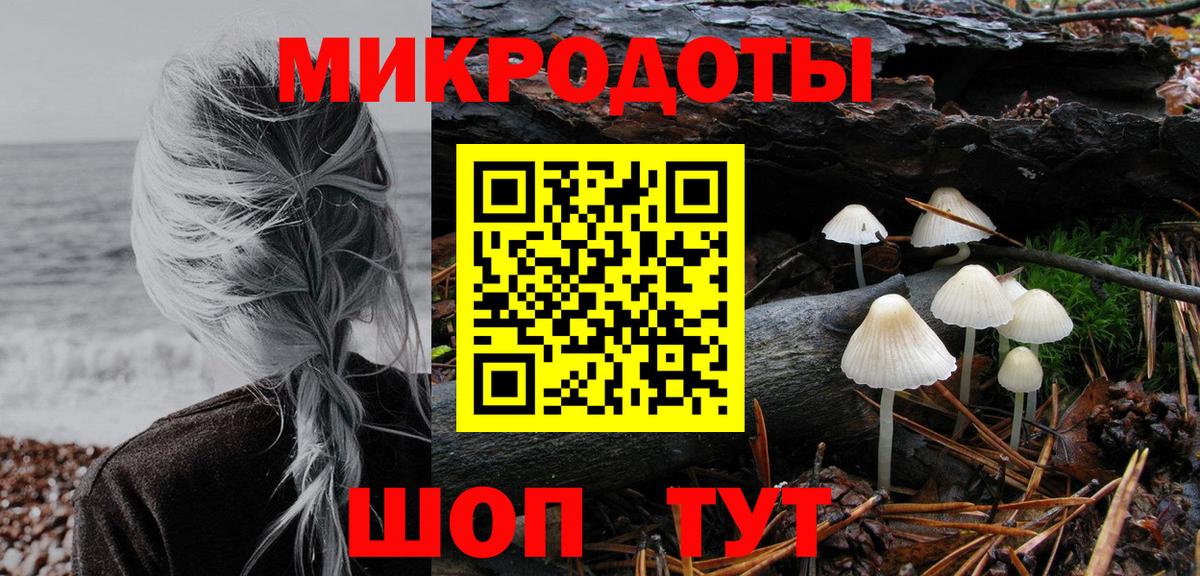 Мичуринск  Галлюциногенные грибы Cubensis  наркошоп  Вход с VPN  Галлюциногенные грибы прущие грибы 